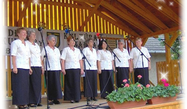 Fotka - Spevokol KÉK SZIVÁRVÁNY Énnekkar